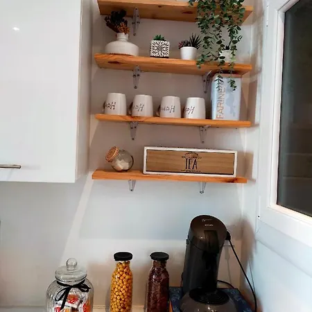 Apartment T3 Proche Castillet Perpignan